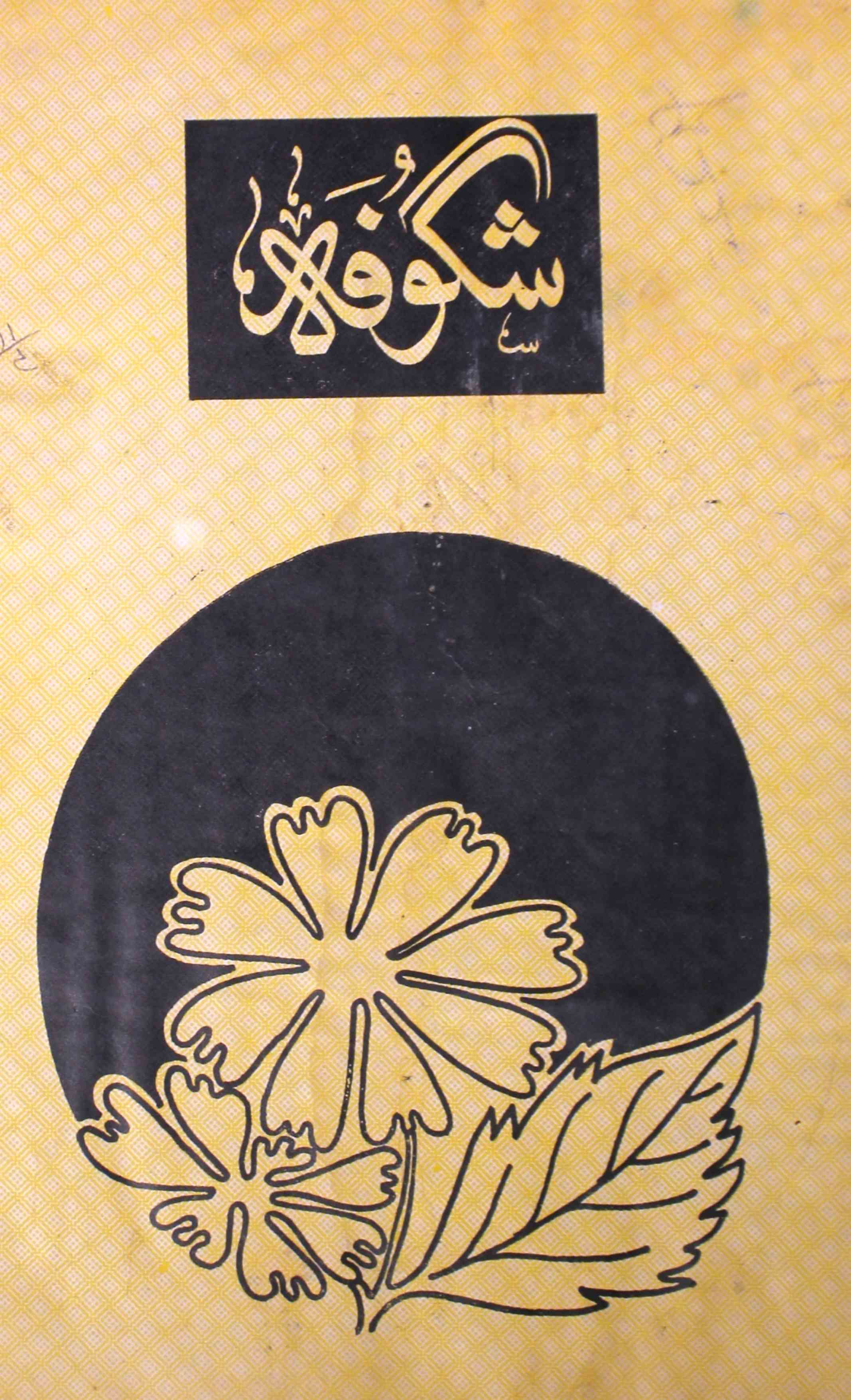 shagoofa-shumara-number-004-syed-mustafa-kamal-magazines-27