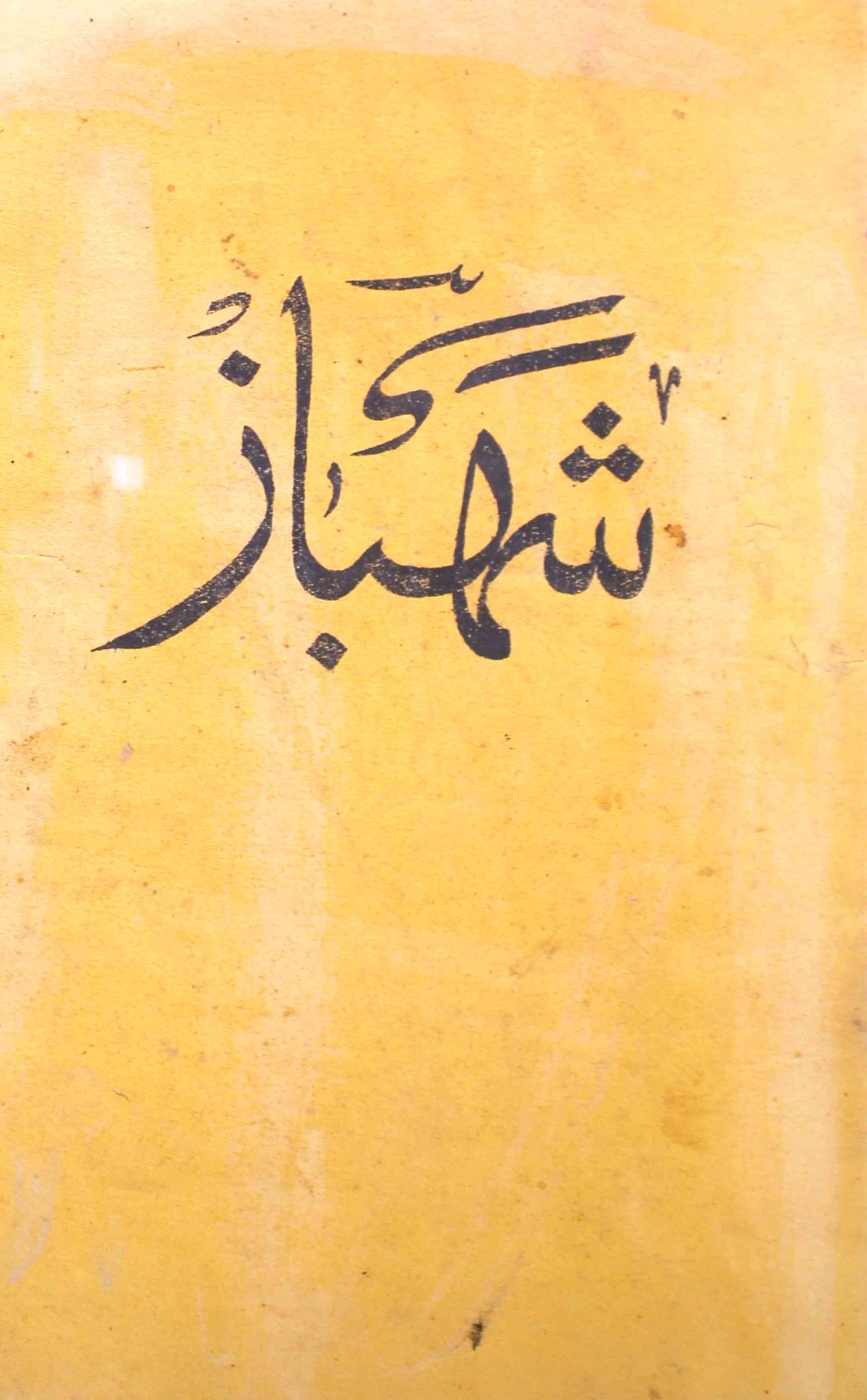 shahbaz-shumaara-number-015-16-syed-safirullah-husaini-magazines