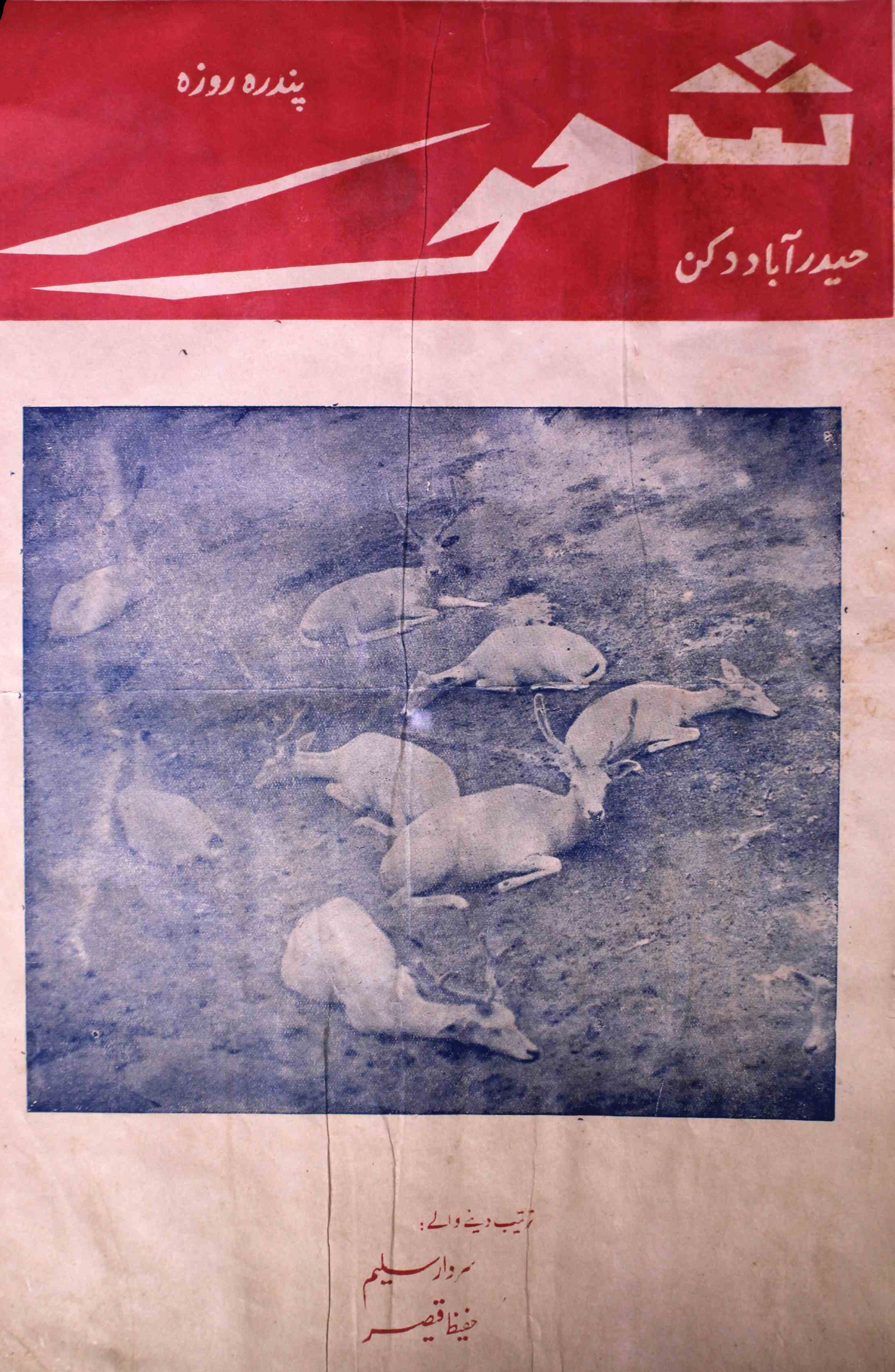 shuoor-shumaara-number-010-sardar-saleem-magazines