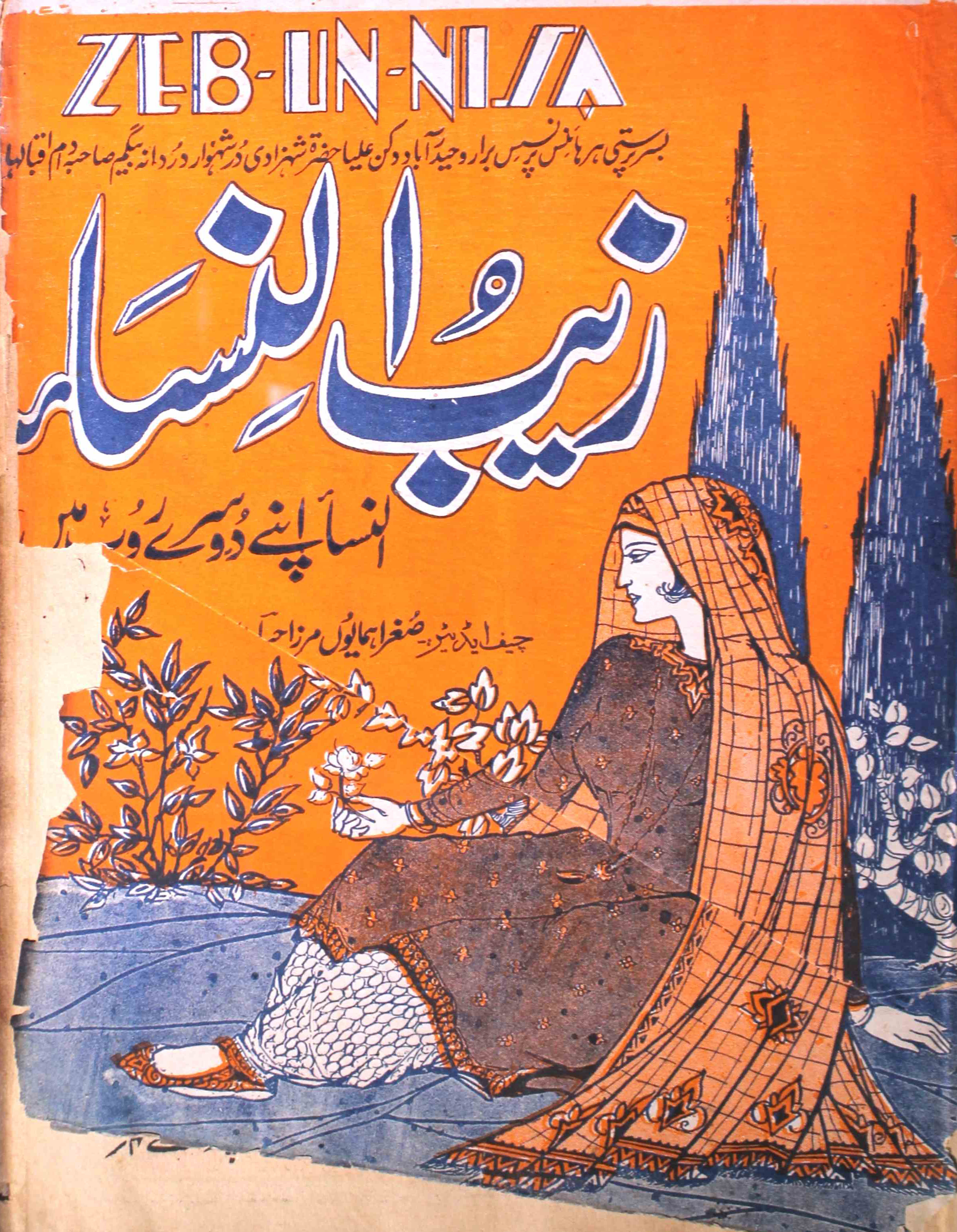 zaib-un-nisa-shumara-number-008-sughra-humaun-mirza-magazines
