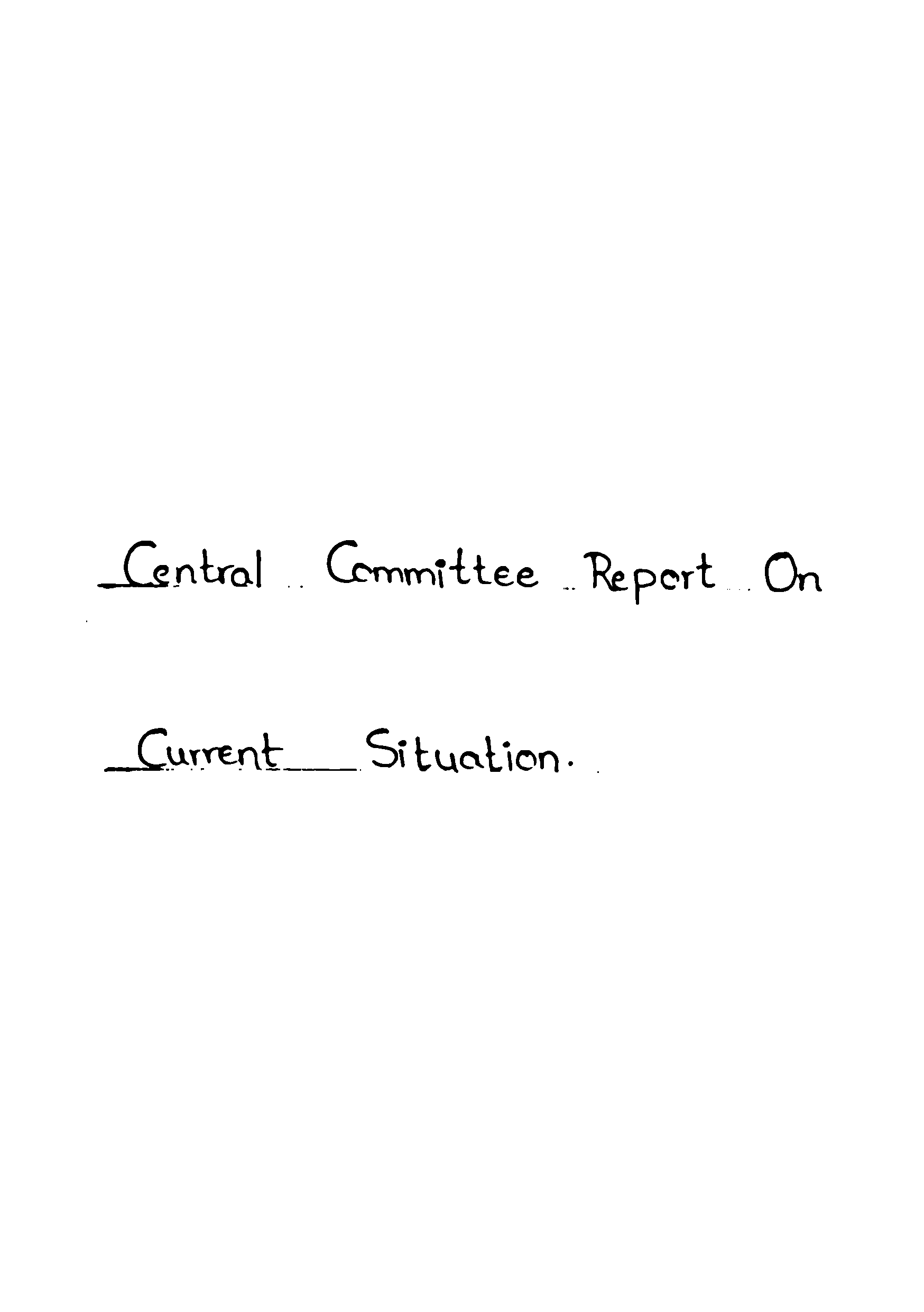 Central committee report on current sitution