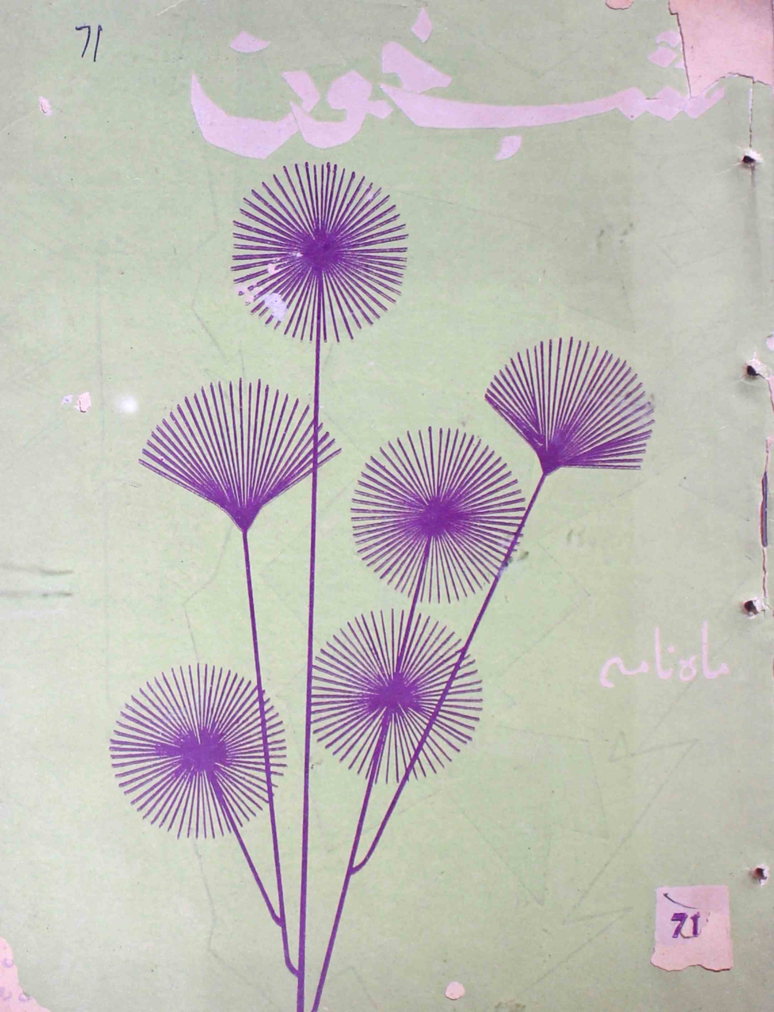 Shab-khoon-shumara-number-071-aqeela-shaheen-magazines