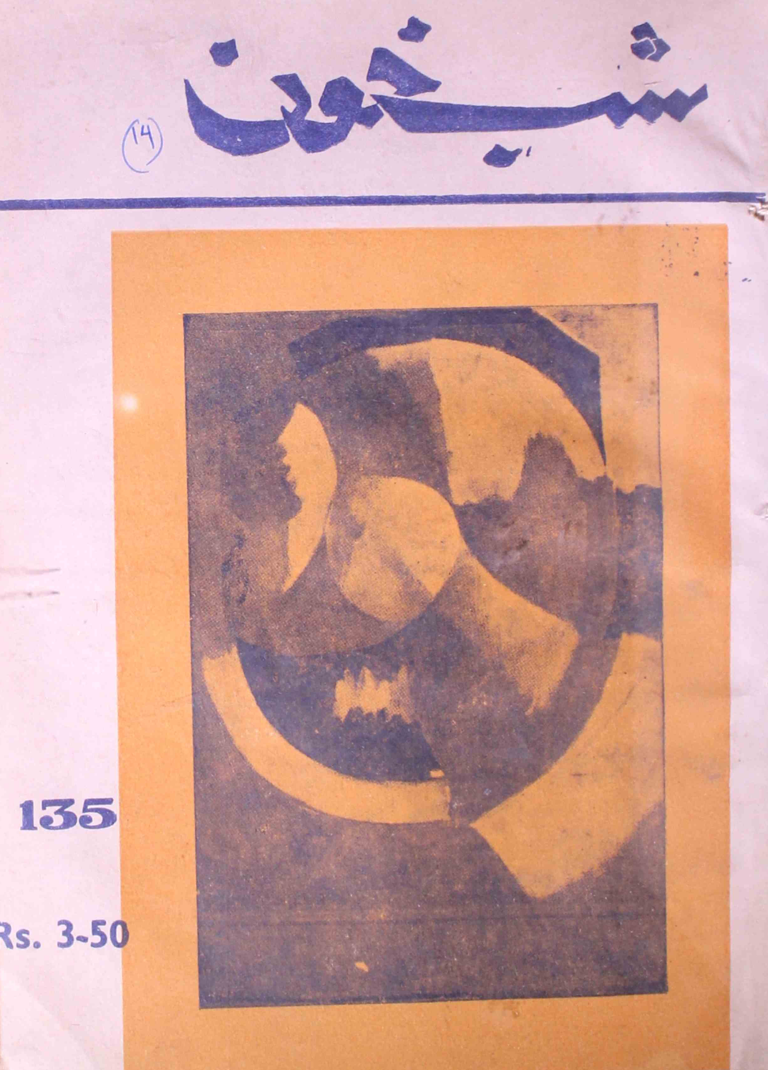 Shab-khoon-shumara-number-135-aqeela-shaheen-magazines