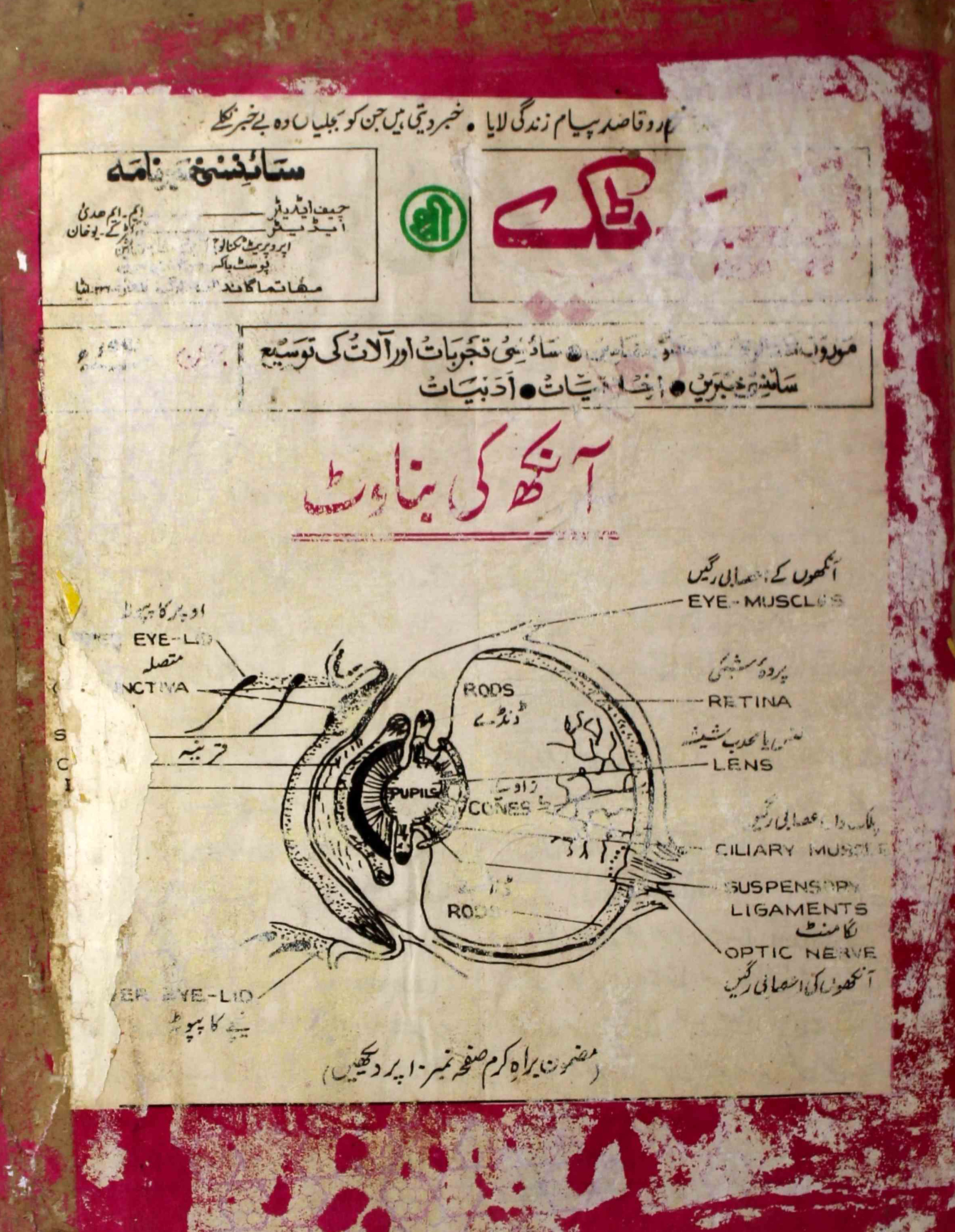 App-tik-unknown-author