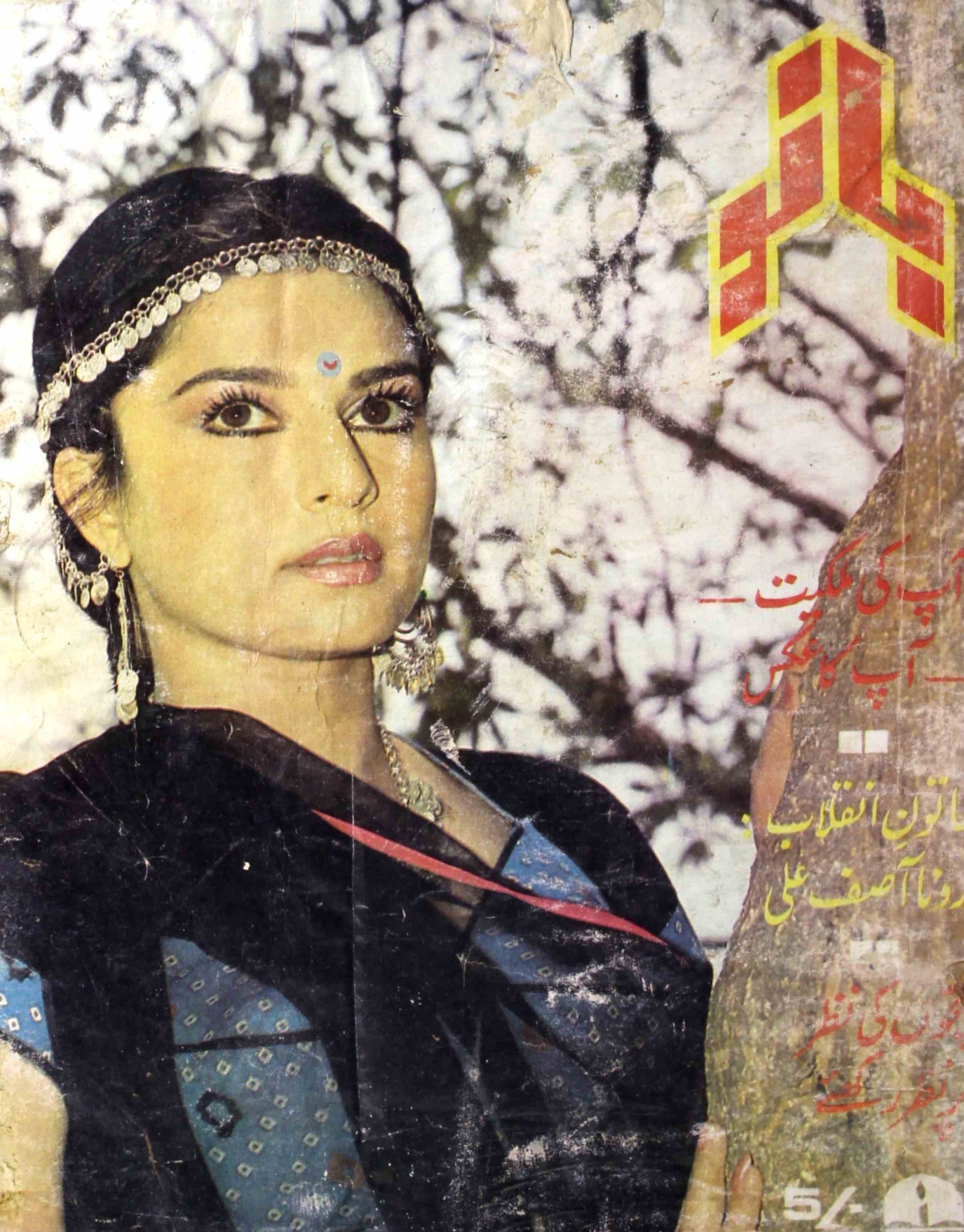 Bano-shumara-number-504-sadia-dehlvi-magazines