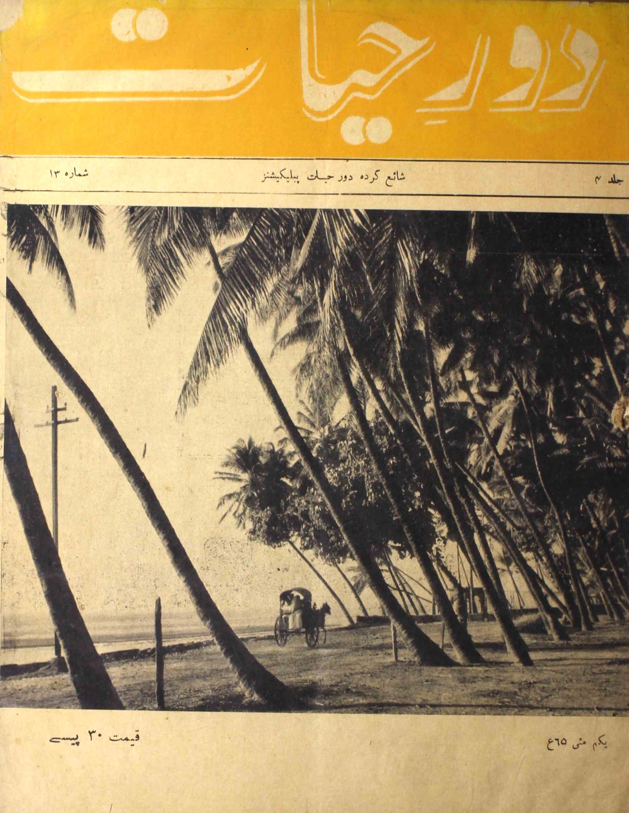 Daur-e-hayat-shumara-number-013-qaisar-mazhar-husain-magazines