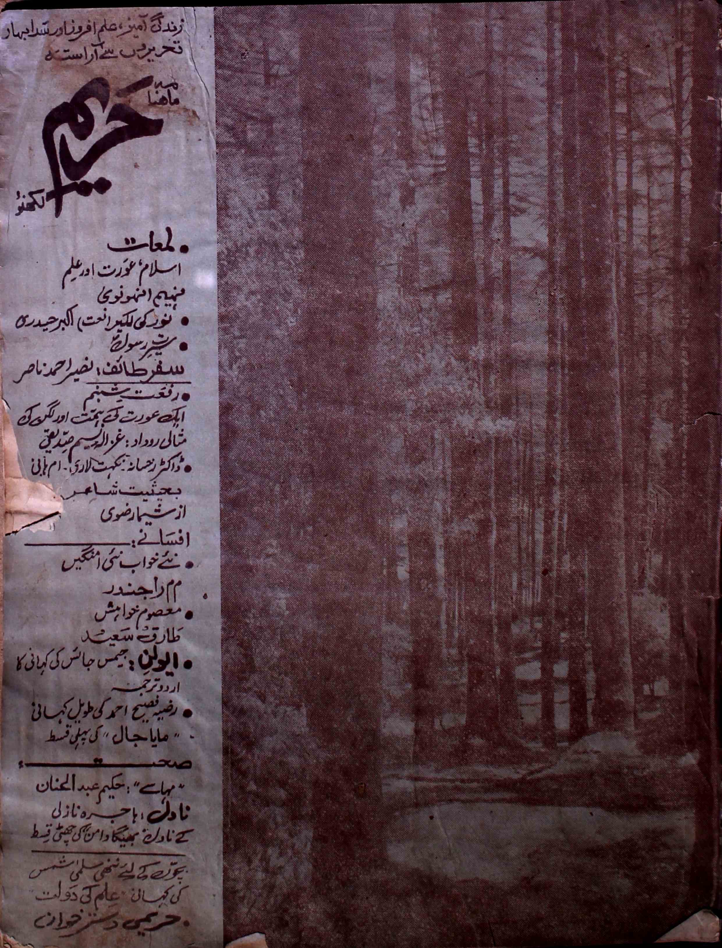 Hareem-shumara-number-009-faheem-anhonvi-magazines