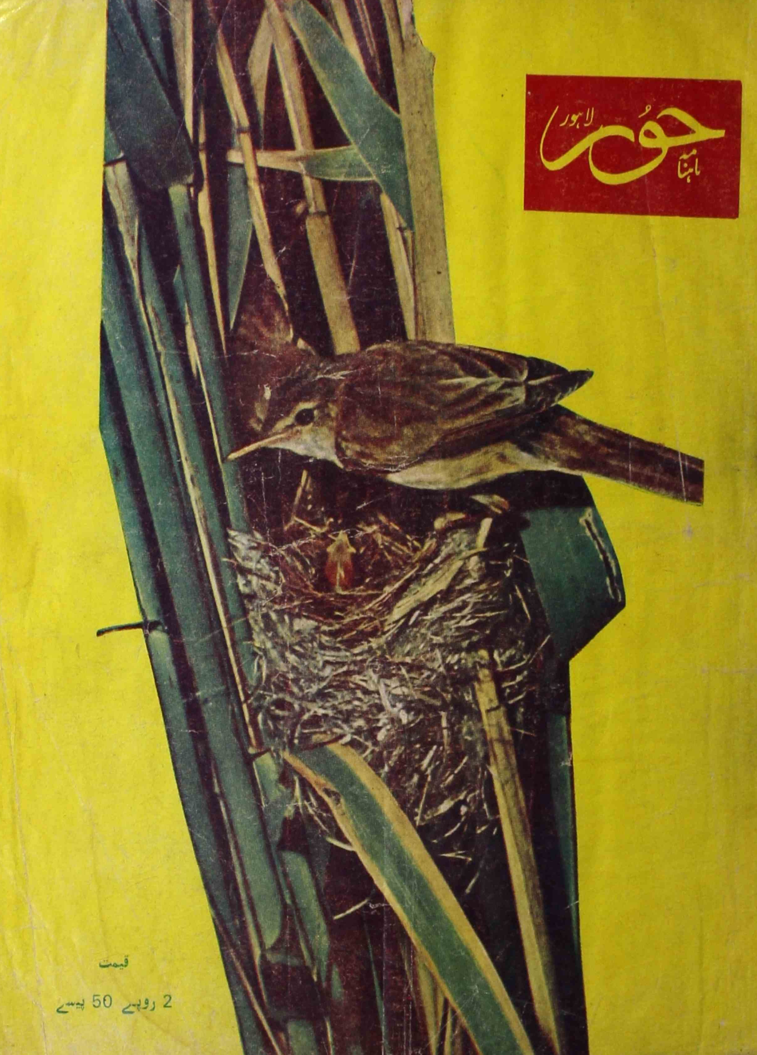 Hoor-shumara-number-007-zeb-usmania-magazines