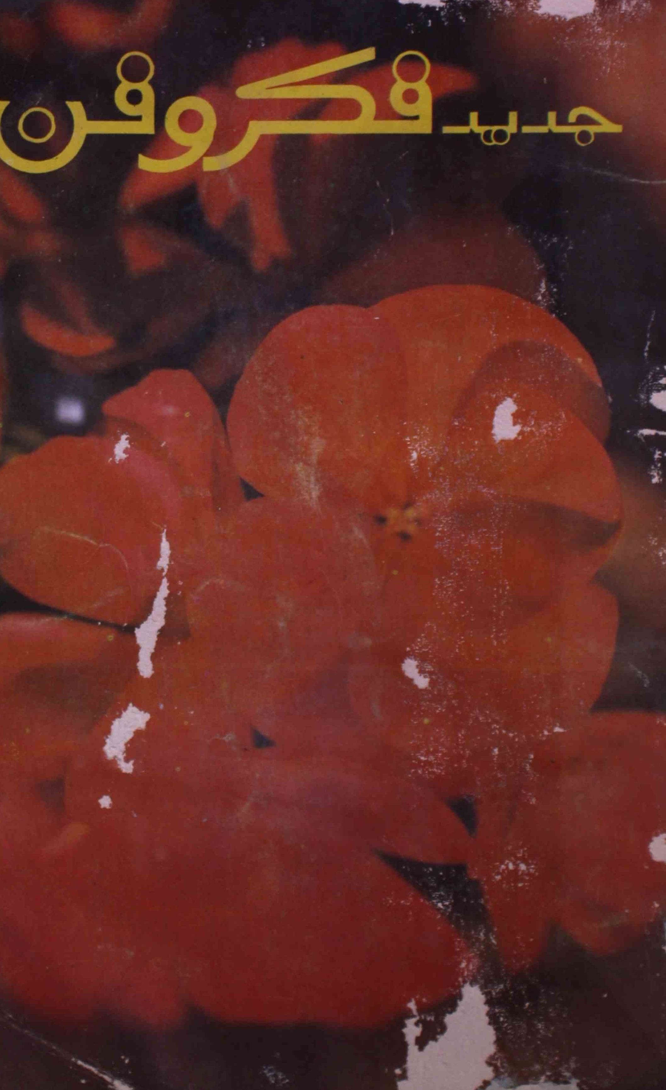 jadeed-fikr-o-fan-shumara-number-017-dharmpal-aaqil-magazines