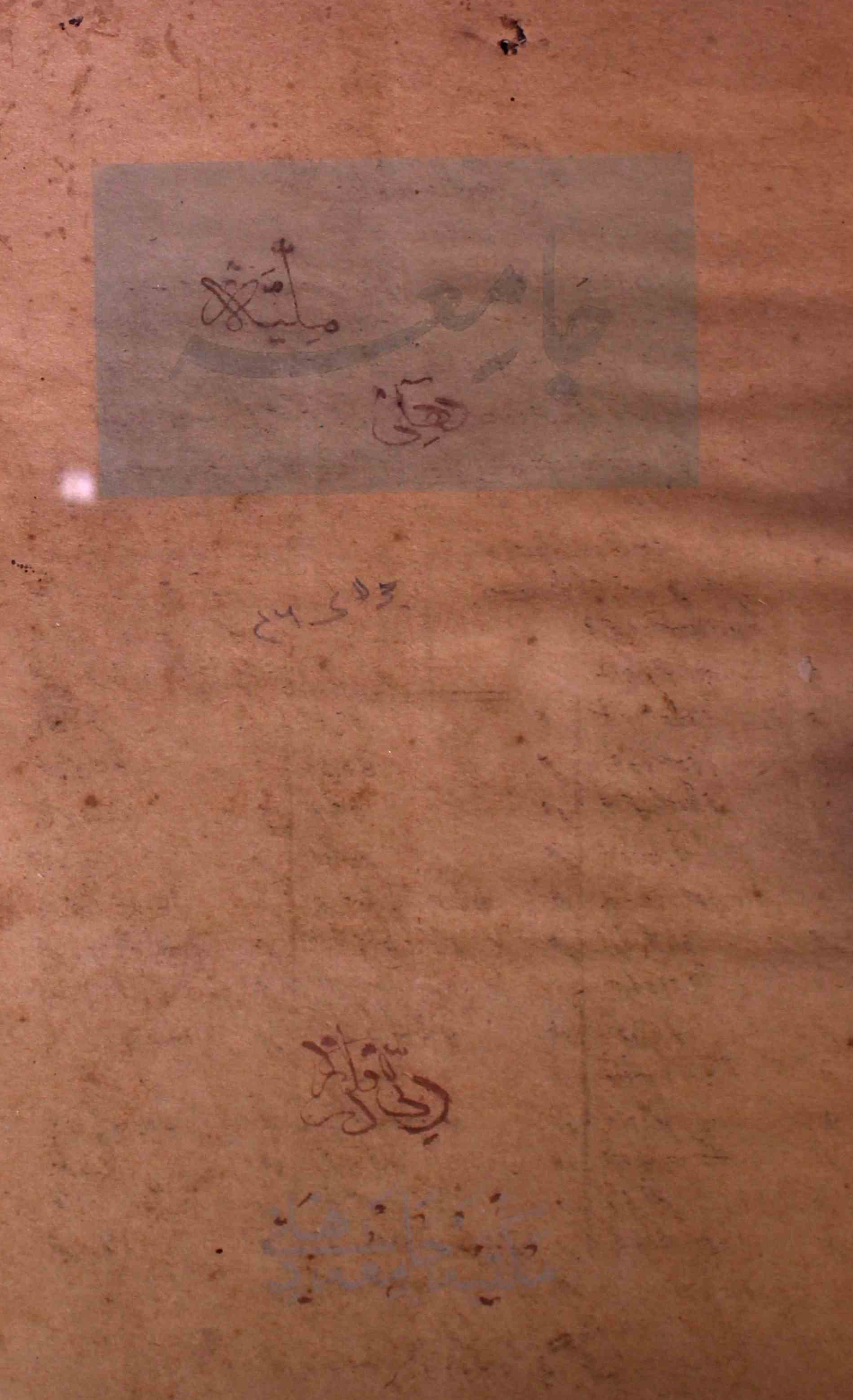 jamia-delhi-shumara-number-001-prof-mohammad-aaqil-magazines-12