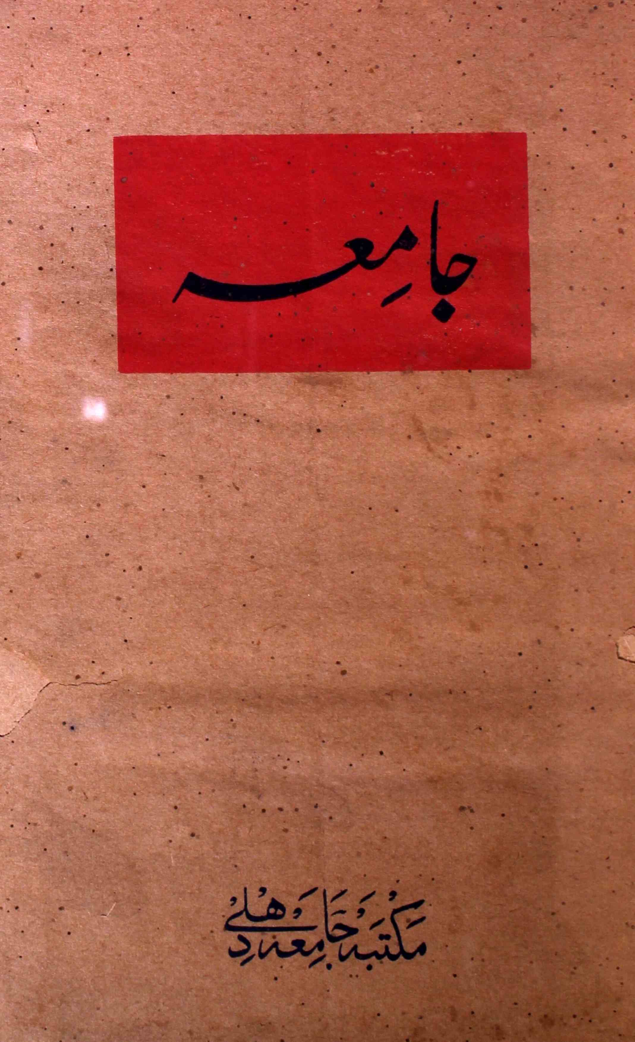 jamia-delhi-shumara-number-006-prof-mohammad-aaqil-magazines-4