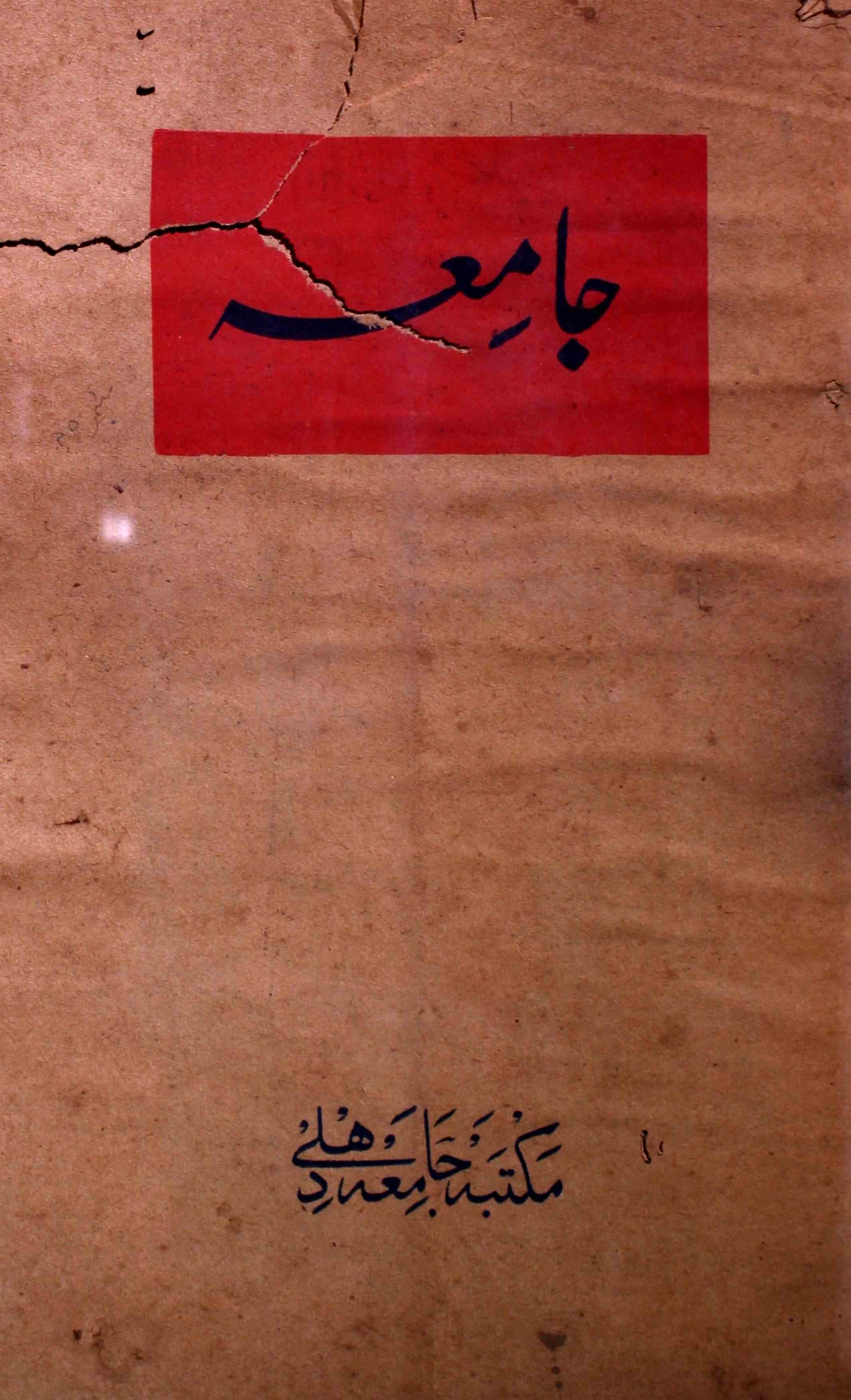 jamia-delhi-shumara-number-012-prof-mohammad-aaqil-magazines-1