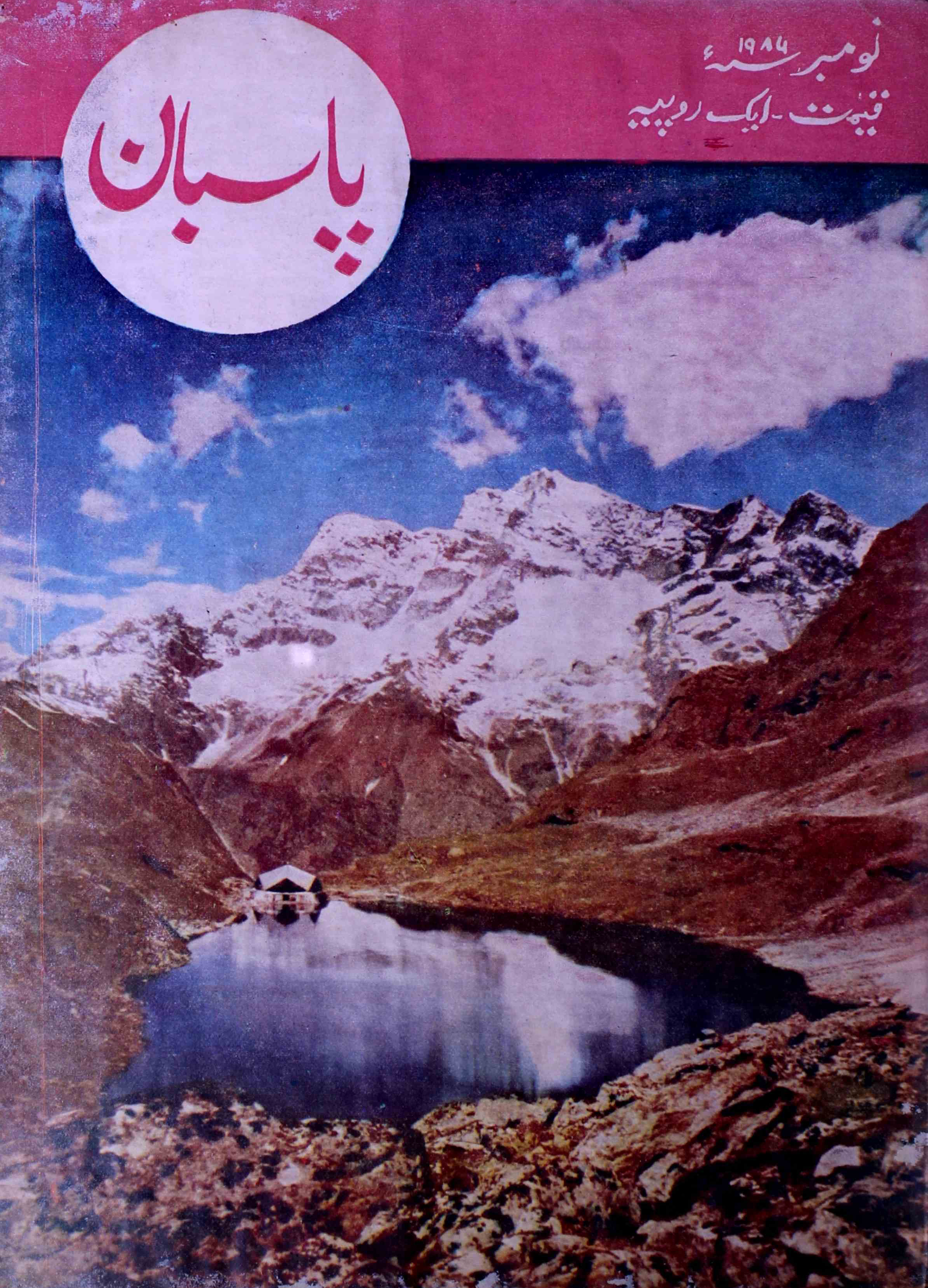 pasban-shumara-number-011-surendra-vij-magazines