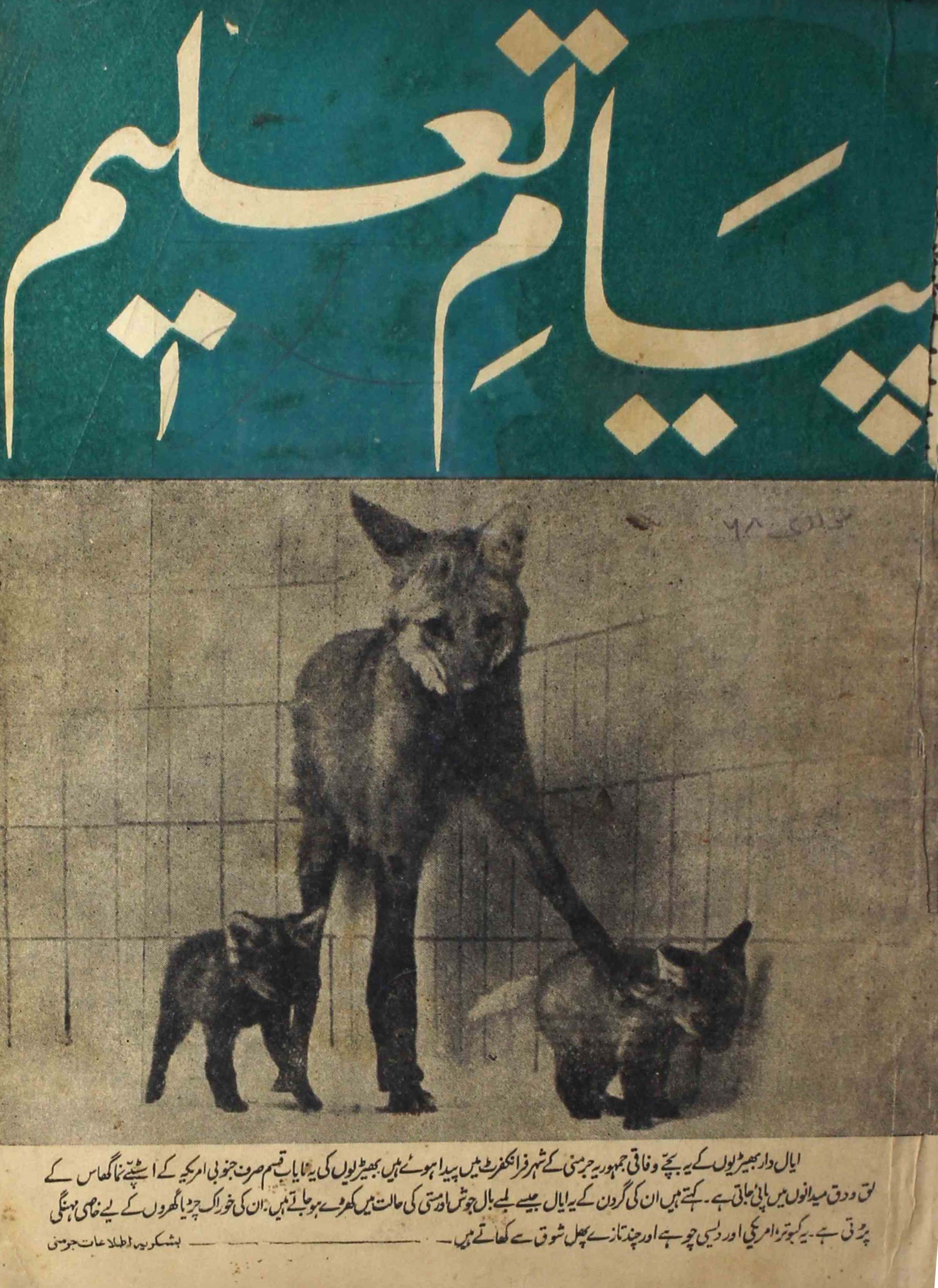 payam-e-taleem-shumara-number-007-mohammad-husain-hassan-magazines-5