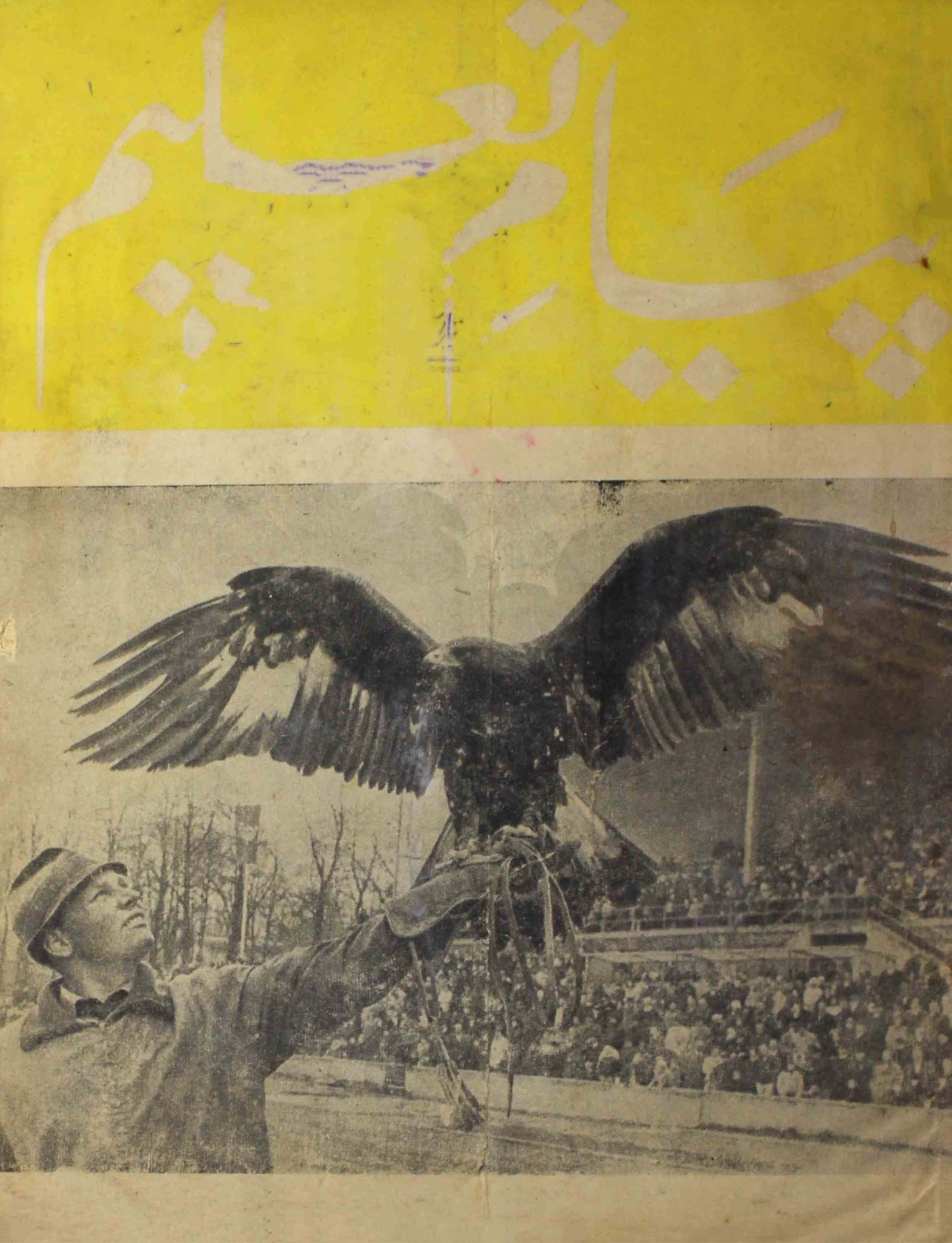 payam-e-taleem-shumara-number-010-011-mohammad-husain-hassan-magazines