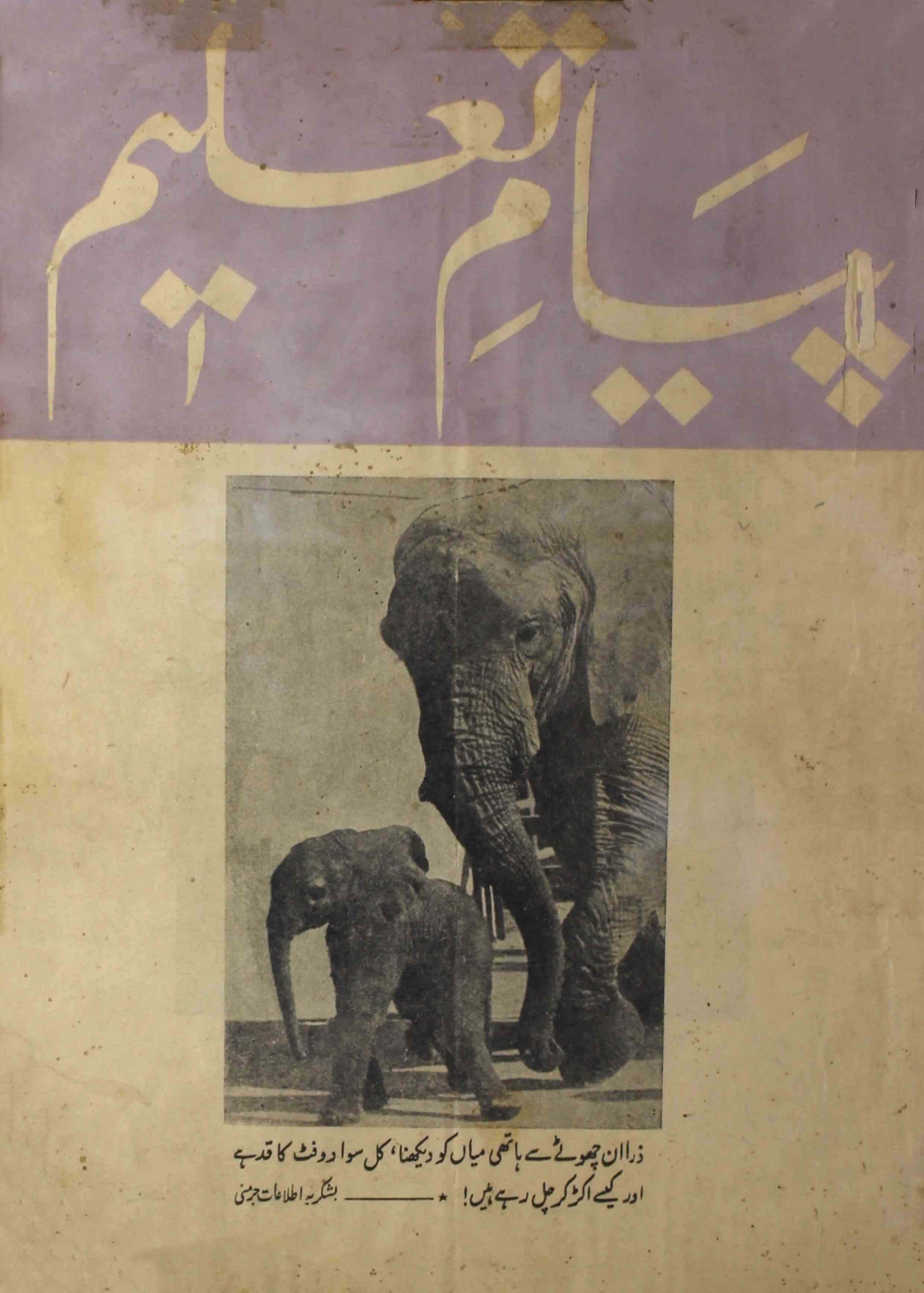 payam-e-taleem-shumara-number-011-mohammad-husain-hassan-magazines-1