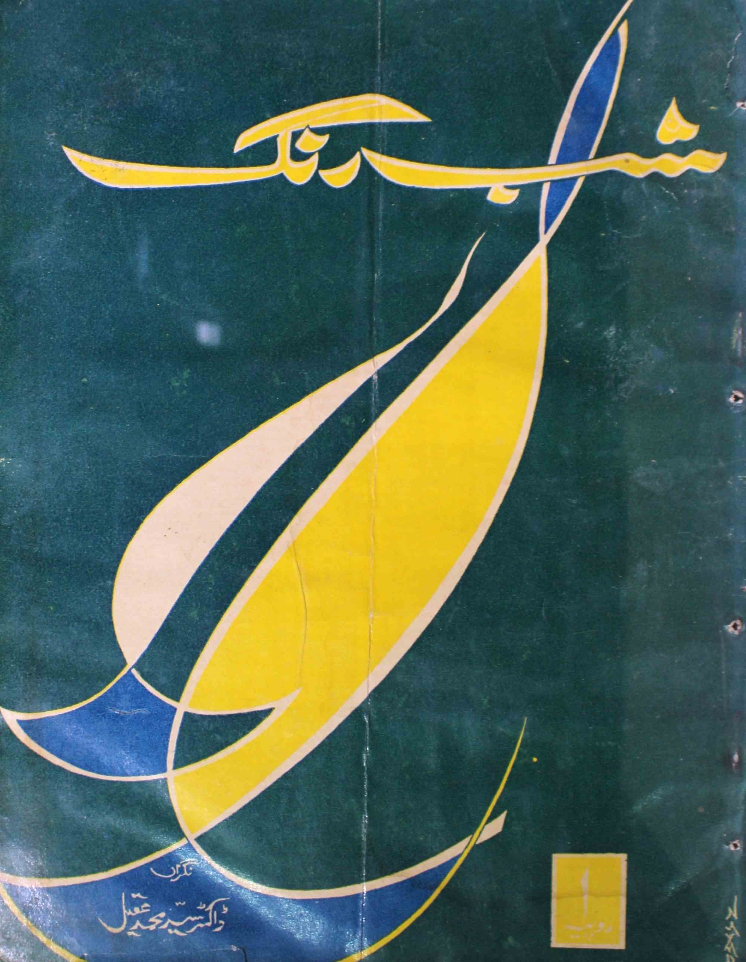 shab-rang-shumara-number-004-shabeeb-ali-husain-magazines