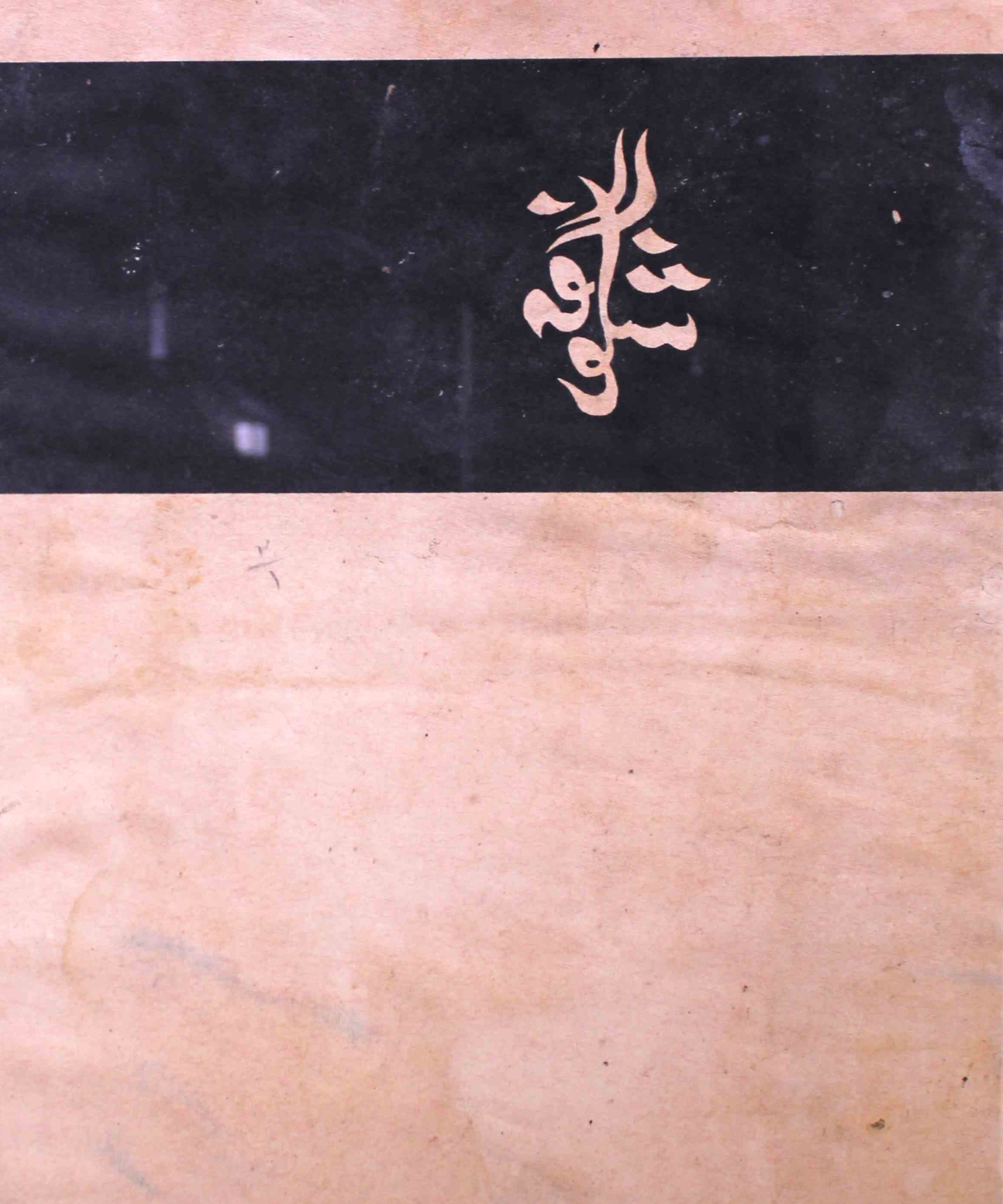 shagoofa-shumara-number-001-syed-mustafa-kamal-magazines-14