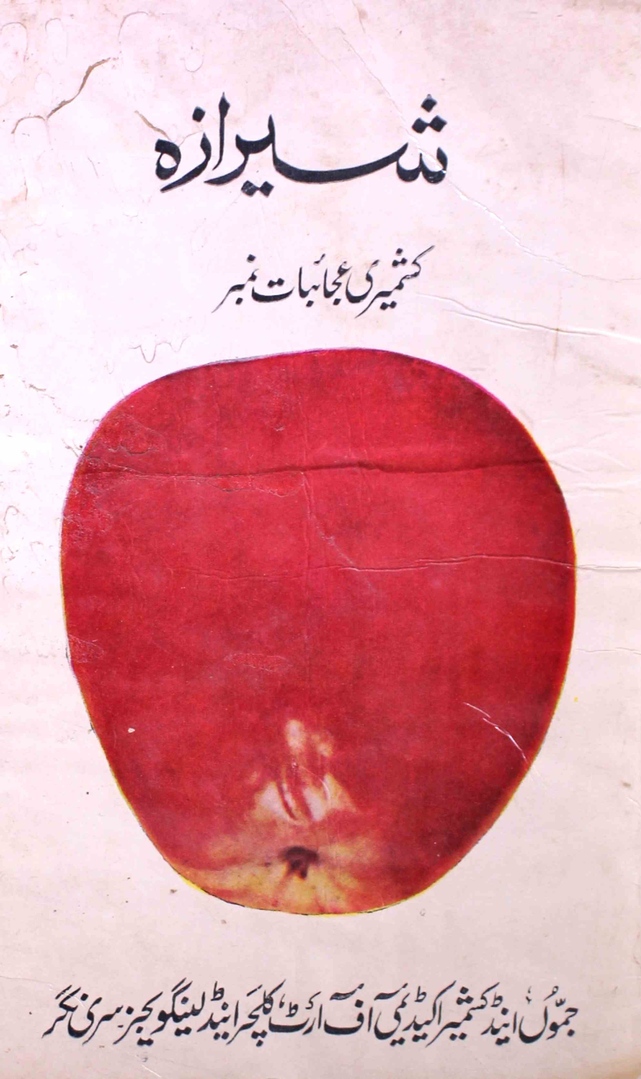 sheeraza-shumarah-number-008-009-unknown-editor-magazines