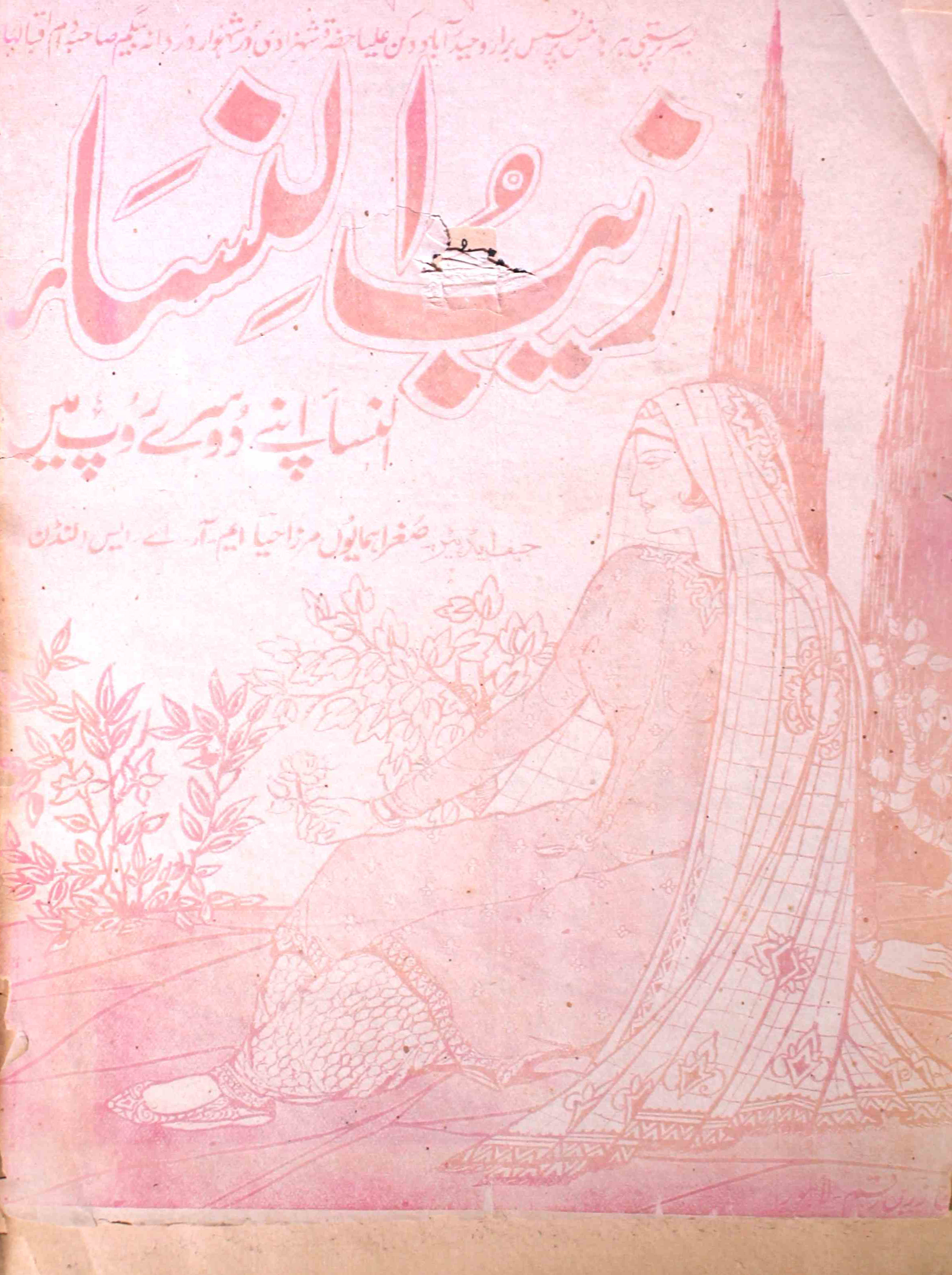 Zaib-un-nisa-shumaara-007-sughra-humaun-mirza-magazines