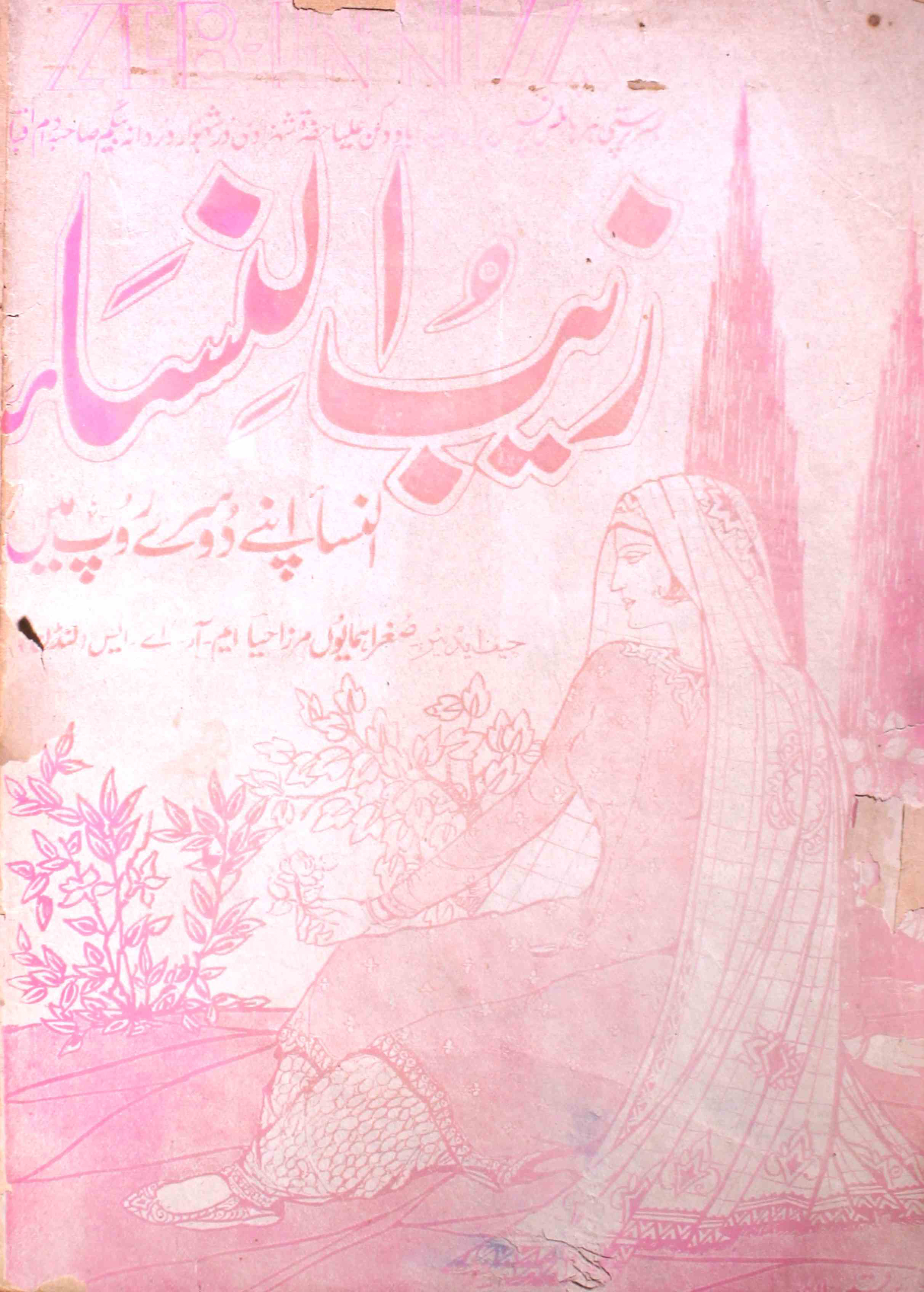 zaib-un-nisa-shumara-number-005-sughra-humaun-mirza-magazines